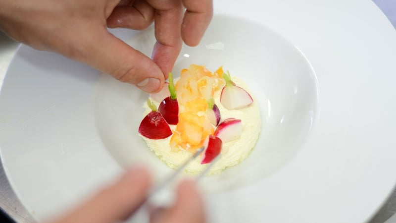 Molecular Gastronomy Creations